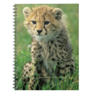 Carnet Jeune guépard flou