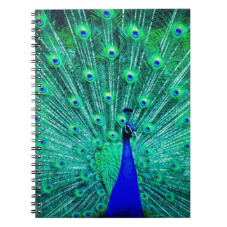Carnet Joli BlueTeal Peacock oiseau Moderne motif tendanc