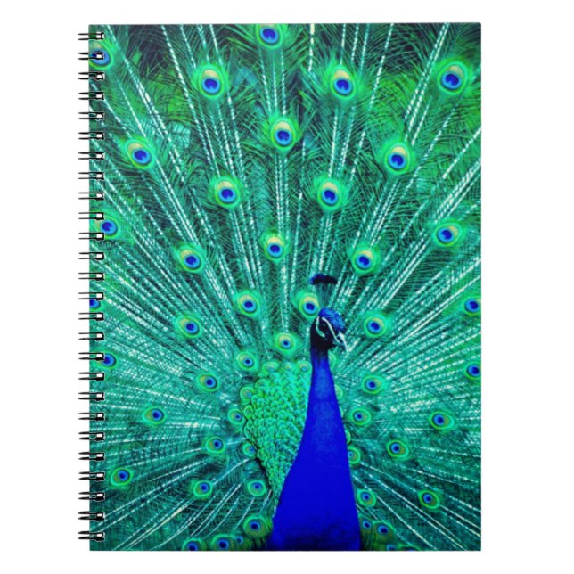 Carnet Joli BlueTeal Peacock oiseau Moderne motif tendanc (Devant)