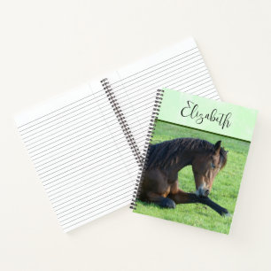 Carnet Joli Cheval Brown allongé dans l'herbe