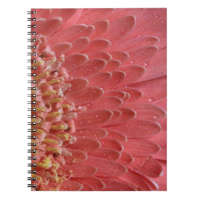 Carnet Joli Coral rose Gerbera Daisy (Devant)