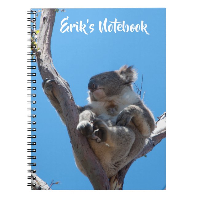 Carnet Joli koala endormi dans un arbre Australie (Devant)