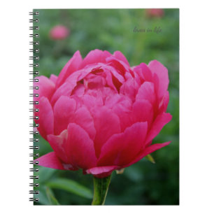 Carnet Joli Peony Jardin Rose