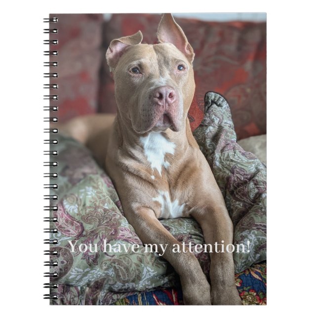 Carnet Joli Pit Bull (Devant)