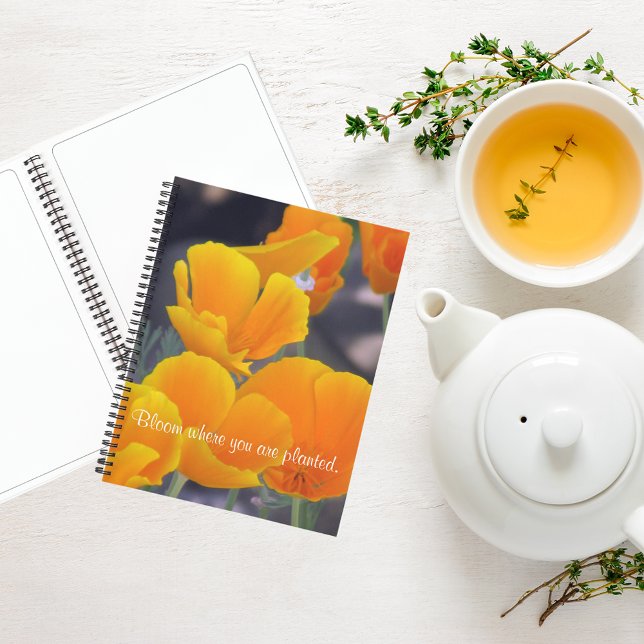 Carnet Joli Poppies de Californie avec Croquis (Créateur téléchargé)
