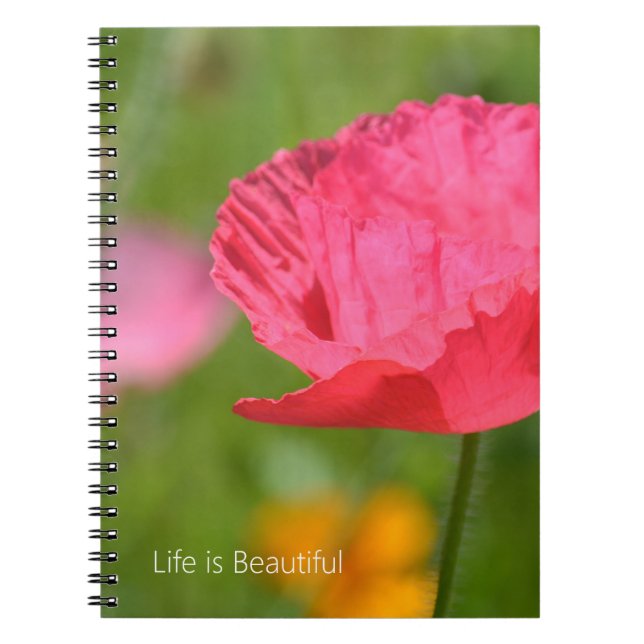 Carnet Jolie fleur de pavot d'Islande rose (ma photograph (Devant)