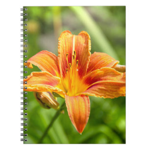 Carnet Jolie grande fleur Lily photo