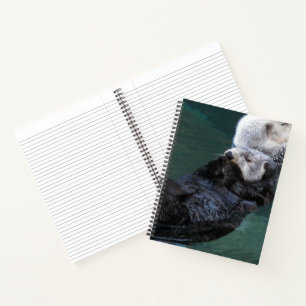 Carnet Jolie loutre de mer au bain