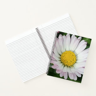 Carnet Jolie marguerite