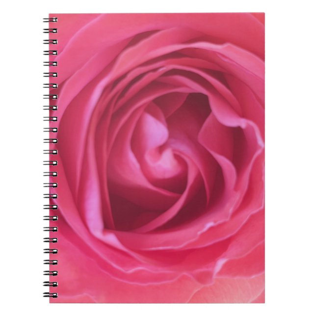 Carnet Jolie rose rose (Devant)