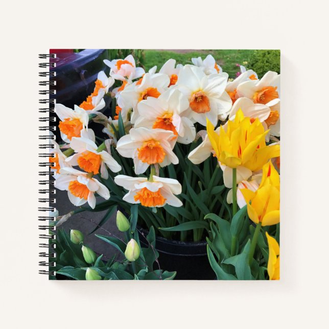Carnet Jonquilles & Tulipes, Oregon (Devant)