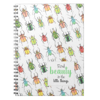 Jote Beetles