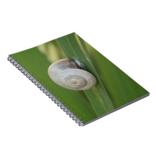 Carnet journal d'escargot