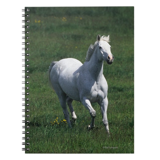 Carnet Jument de pur sang (Devant)