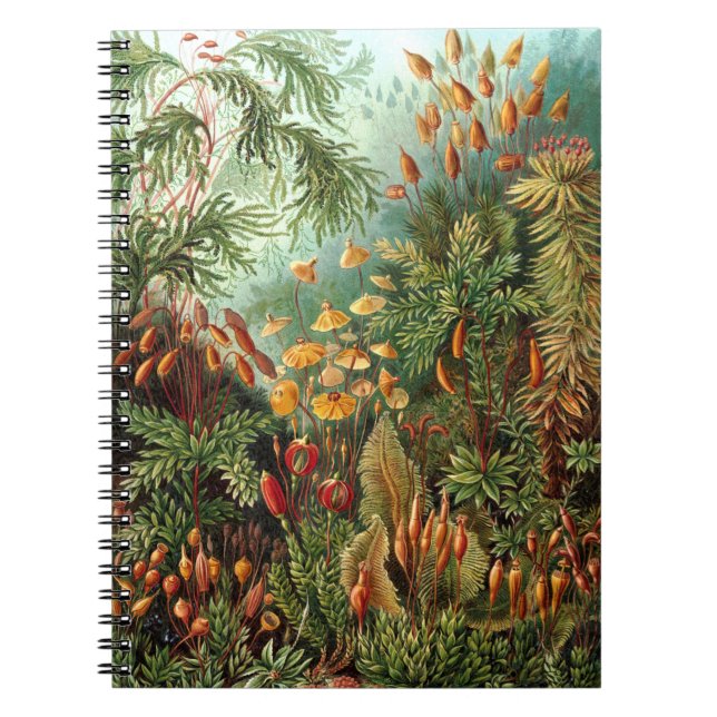Carnet Jungle (Devant)