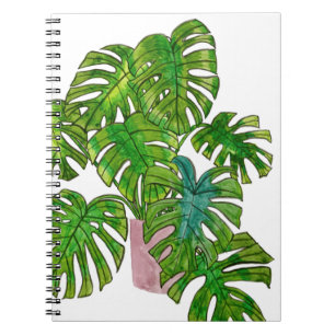 Carnet Jungle mise en pot I