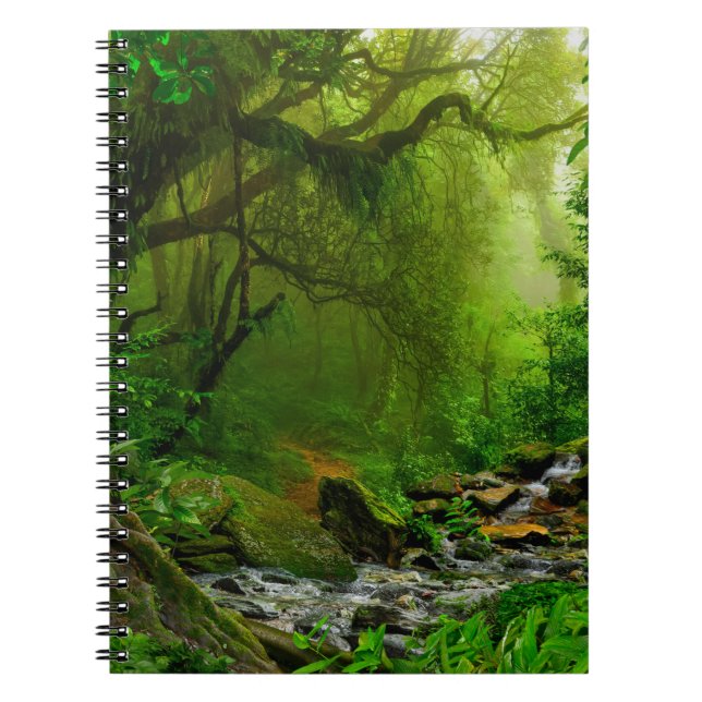Carnet jungle népalaise avec rivière, forêt, sol, rivière (Devant)