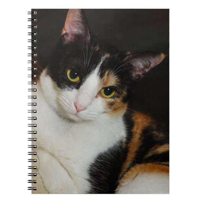 Carnet Juste en train de se pendre (Devant)