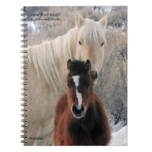 Carnet Kahlua et avocette de lavabo de sable