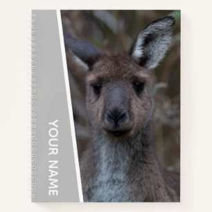 Carnet Kangaroo Baby Joey Portrait Australie, Argent