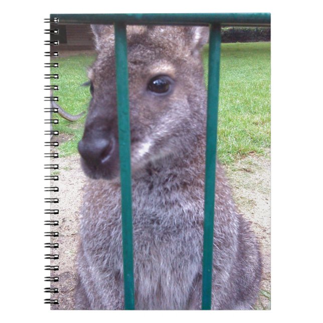 Carnet Kangaroo derrière les barreaux (Devant)