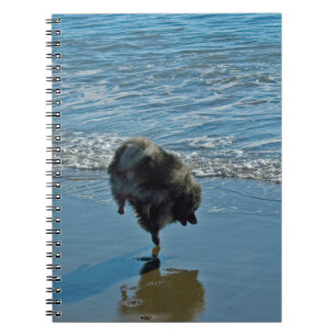 Carnet Keeshond Ballet Photographie - Joli chien d'origin