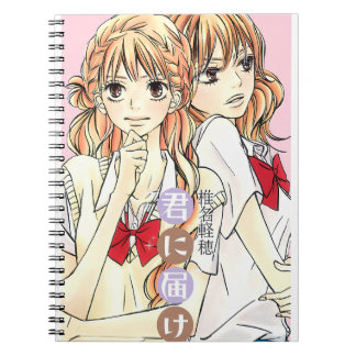 Carnet Kimi ni Todoke