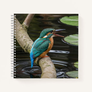 Carnet Kingfisher Bird
