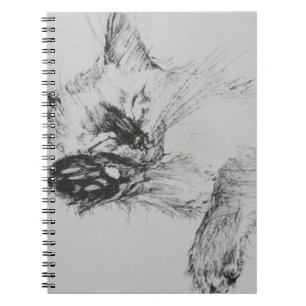 Carnet Kitty 'Baby