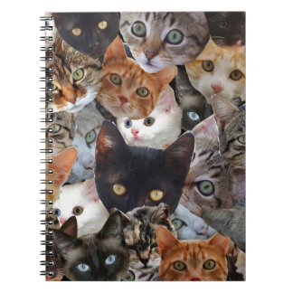 Carnet Kitty Collage