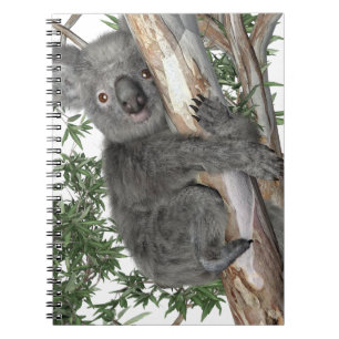 Carnet Koala dans un arbre