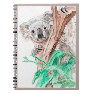 Carnet Koala, Peek-a-Boo