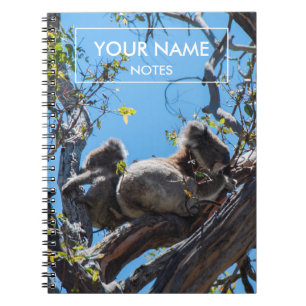 Carnet Koalas personnalisées