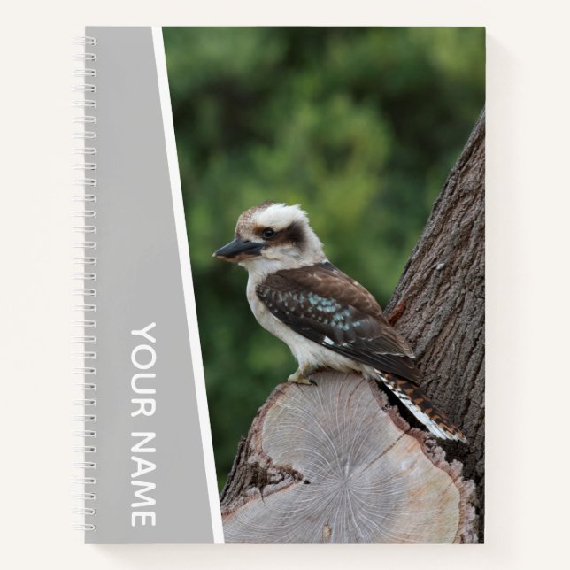 Carnet Kookaburra Australie Oiseau Rieur, Argent (Devant)