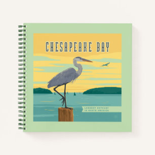 Carnet La Baie De Chesapeake Le Plus Grand Estuaire D'Amé