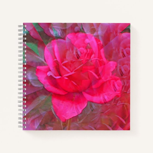 Carnet La beauté est dans..... (Devant)