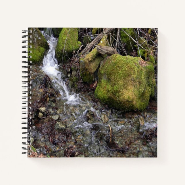 Carnet La cascade de Fae.... (Devant)