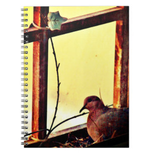 Carnet La colombe innocente