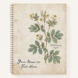 Carnet La Fleur de l'Alchimiste : Botanique Chelidonium M