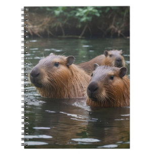 Carnet La Nage Des Capybaras Dans La Rivière,