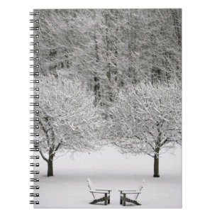 Carnet La neige a couvert le paysage