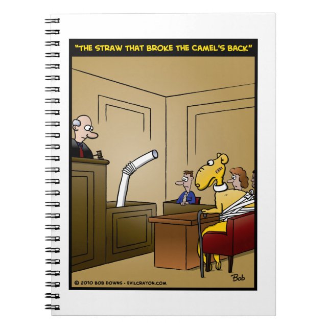Carnet "La paille qui a cassé le dos du chameau " (Devant)
