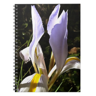 Carnet La peinture Fleur sauvage algérienne Iris Hyperréa