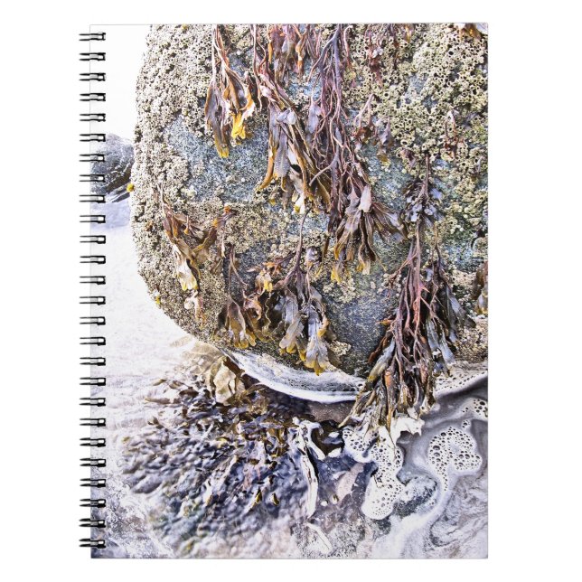 CARNET LA PLAGE (Devant)