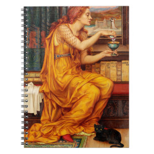 Carnet La Potion d'Amour - Peinture Evelyn De Morgan