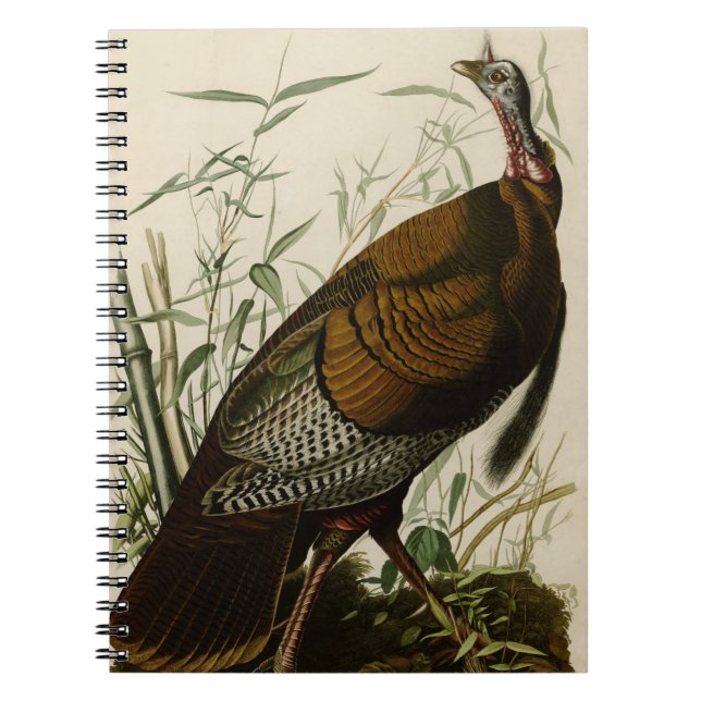 Carnet La Turquie sauvage (Devant)