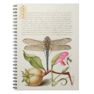 Carnet La vie du jardin, Libellule, Poire, Œillet et Inse