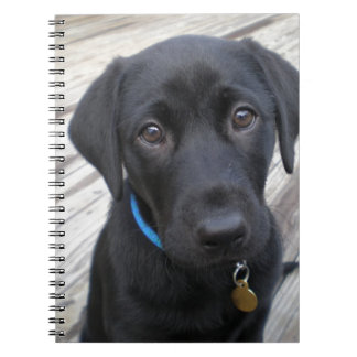 Carnet Laboratoires mignons