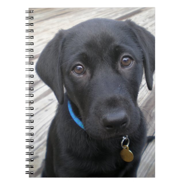 Carnet Laboratoires mignons (Devant)