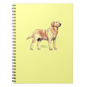 Carnet Labrador Retriever